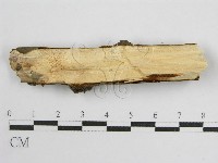 登錄號:F0010452藏品圖，第4張