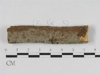 登錄號:F0010453藏品圖，第1張