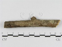 登錄號:F0010454藏品圖，第1張
