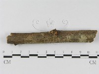 登錄號:F0010454藏品圖，第3張