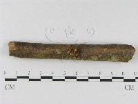 登錄號:F0010454藏品圖，第4張