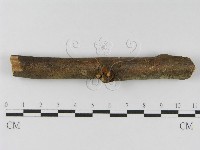 登錄號:F0010454藏品圖，第5張
