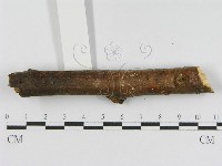 登錄號:F0010454藏品圖，第7張