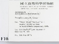 登錄號:F0010455藏品圖，第2張