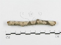 登錄號:F0010455藏品圖，第1張