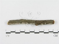 登錄號:F0010455藏品圖，第3張