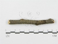 登錄號:F0010455藏品圖，第4張