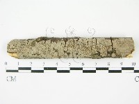 登錄號:F0010457藏品圖，第1張