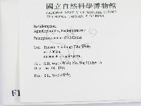 登錄號:F0010458藏品圖，第2張