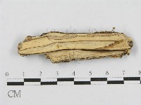 登錄號:F0010458藏品圖，第4張