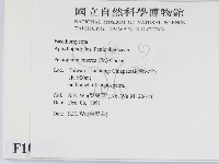 登錄號:F0010459藏品圖，第2張