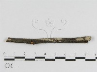 登錄號:F0010459藏品圖，第1張
