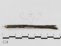 登錄號:F0010459藏品圖，第3張