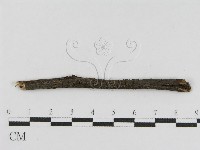 登錄號:F0010459藏品圖，第4張