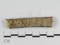 登錄號:F0010460藏品圖，第1張