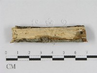 登錄號:F0010460藏品圖，第3張