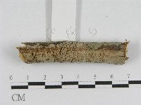 登錄號:F0010460藏品圖，第4張