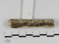 登錄號:F0010460藏品圖，第5張