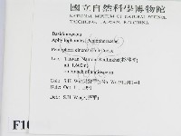 登錄號:F0010461藏品圖，第2張