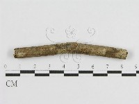 登錄號:F0010461藏品圖，第1張