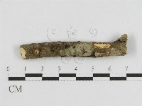 登錄號:F0010462藏品圖，第3張