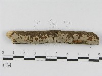 登錄號:F0010463藏品圖，第3張