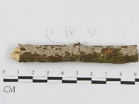 登錄號:F0010463藏品圖，第7張
