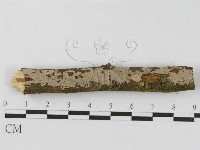 登錄號:F0010463藏品圖，第8張