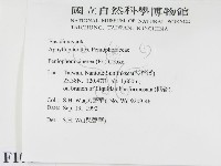 登錄號:F0010464藏品圖，第2張