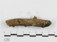 登錄號:F0010464藏品圖，第3張
