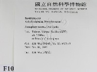 登錄號:F0010465藏品圖，第2張