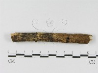 登錄號:F0010465藏品圖，第3張