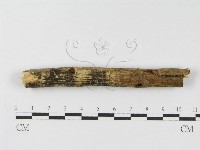 登錄號:F0010465藏品圖，第4張