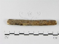 登錄號:F0010465藏品圖，第6張