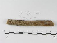 登錄號:F0010465藏品圖，第7張