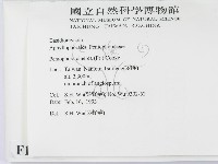 登錄號:F0010466藏品圖，第2張