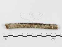 登錄號:F0010466藏品圖，第1張