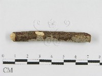 登錄號:F0010467藏品圖，第3張