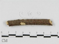 登錄號:F0010467藏品圖，第4張