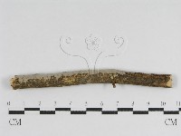 登錄號:F0010468藏品圖，第1張