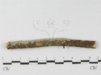 登錄號:F0010468藏品圖，第5張