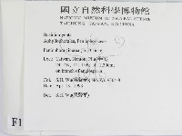 登錄號:F0010469藏品圖，第2張