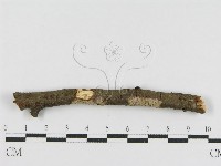 登錄號:F0010469藏品圖，第3張