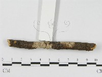 登錄號:F0010469藏品圖，第4張