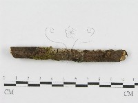登錄號:F0010470藏品圖，第1張