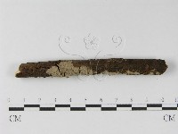登錄號:F0010470藏品圖，第4張