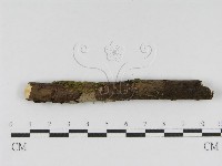 登錄號:F0010470藏品圖，第5張