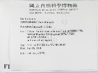 登錄號:F0010471藏品圖，第2張