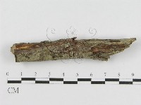 登錄號:F0010471藏品圖，第3張