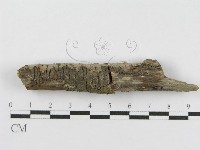 登錄號:F0010471藏品圖，第4張